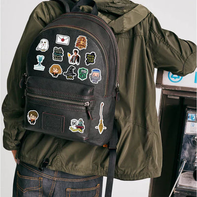 Harry Potter - Set Of 5 Vinyl Sticker Sheets