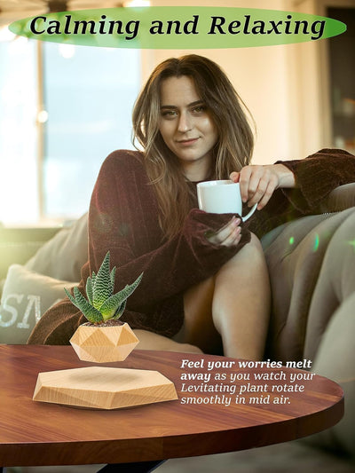 Magnetic Levitating Flower Pot Negative Ion Geometry 360° Floating Bonsai Planter - Wood Colour (Plants Not Included) (No Cash On Delivery Allowed On This Product) - Prepaid Orders Only